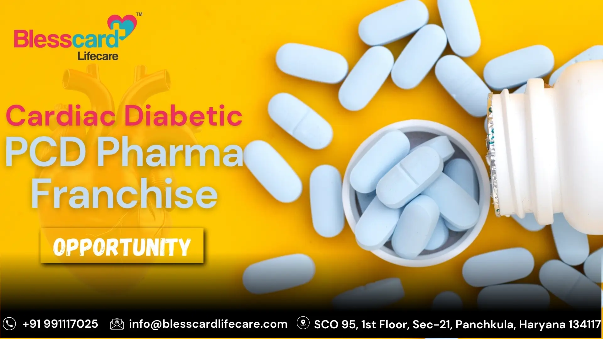 Cardiac Diabetic PCD Pharma Franchise Cardiac Diabetic PCD Cardiac Diabetic PCD Franchise Cardiac Diabetic PCD Company