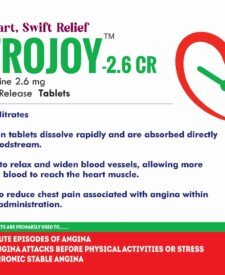 Nitroglycerin 2.6 mg Cardiac Diabetic PCD Pharma Franchise Blesscard Lifecare