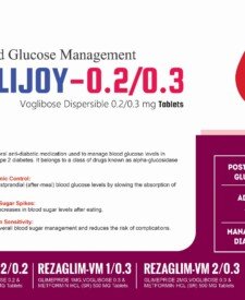 Voglibos Dispersible 0.2/0.3 mg Cardiac Diabetic PCD Pharma Franchise Blesscard Lifecare Blesscard